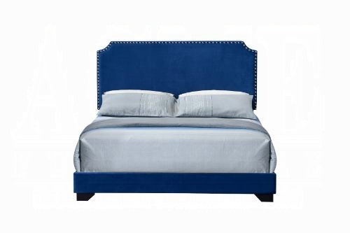 Brand New Queen Size Blue Velvet Bed
