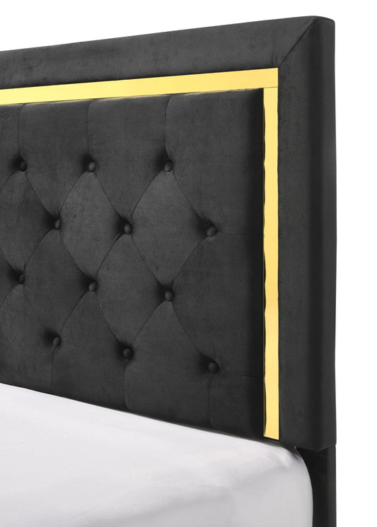 Brand New Black Fabric Bed w/Gold Trim (Queen or King)